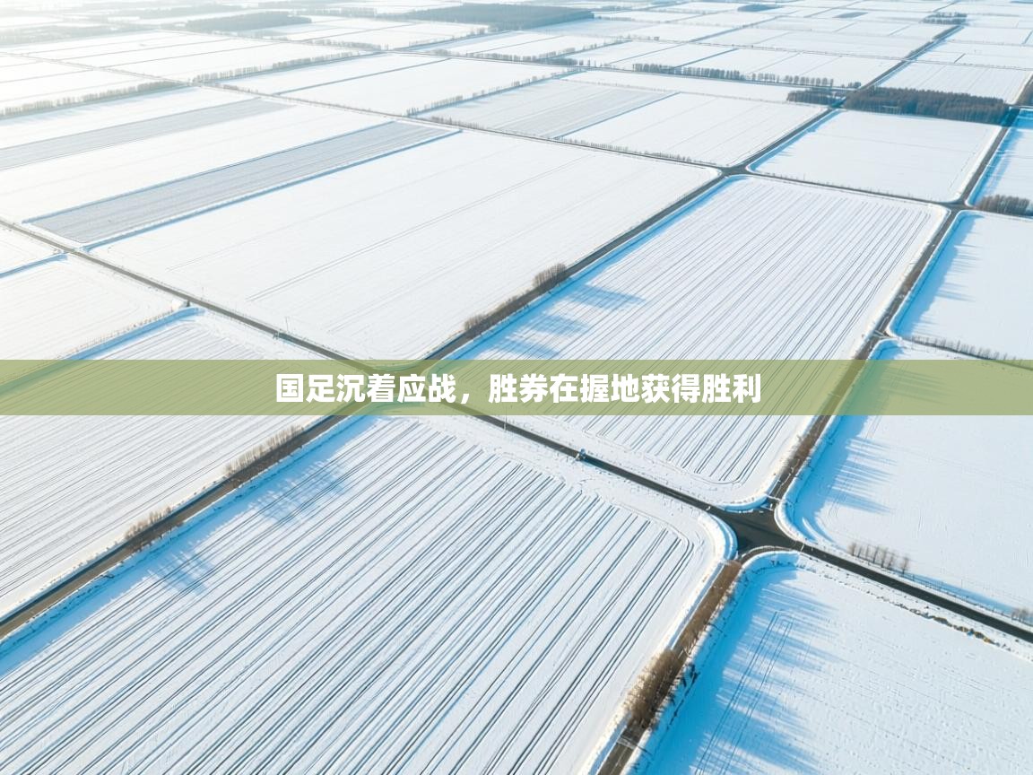 国足沉着应战,胜券在握地获得胜利 第2张